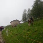 Monte Lucco - Castel Firmian